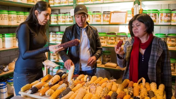 Agroturismo en los Cuchumatanes