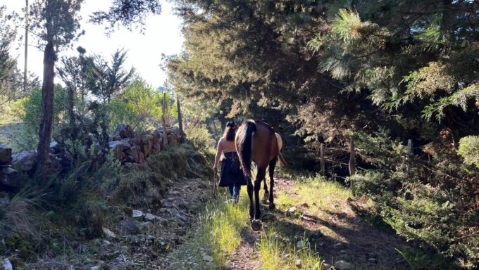 WhatsApp Image 2025-09-19 at 1.29.48 PM