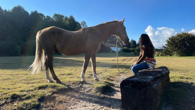 WhatsApp Image 2025-09-19 at 1.31.25 PM - copia