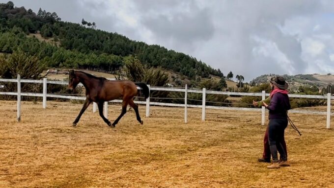 WhatsApp Image 2025-09-19 at 12.57.01 PM