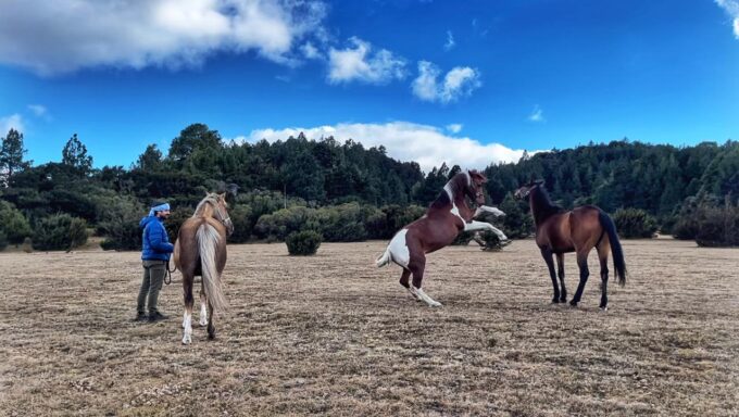 WhatsApp Image 2025-09-19 at 9.38.52 PM